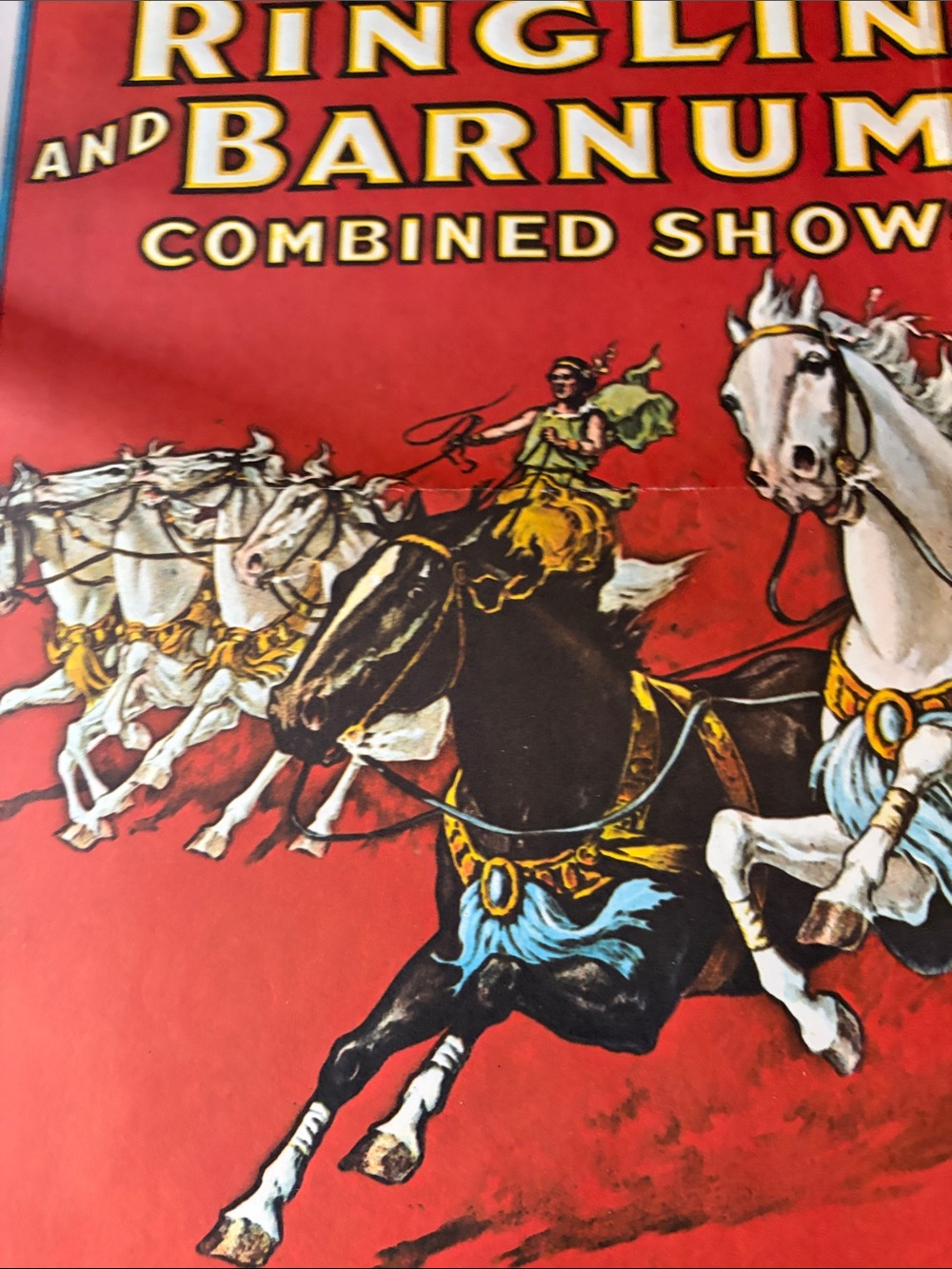 Red Equestrian Poster - Picture 5 of 10
